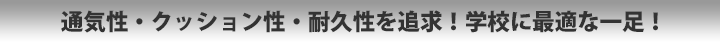 通気性・クッション性・耐久性を追求！学校に最適な一足！